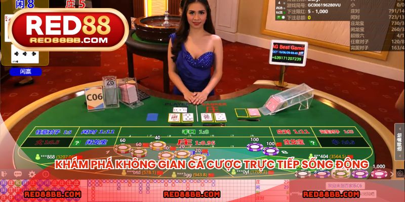 Khám phá không gian cá cược trực tiếp sống động