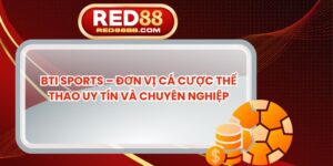 BTI Sports – Đơn Vị Cá Cược Thể Thao Uy Tín Và Chuyên Nghiệp