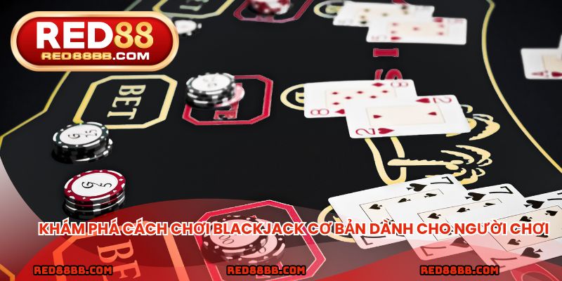 Khám phá cách chơi blackjack cơ bản dành cho người chơi