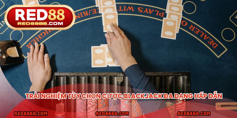 Trải nghiệm tùy chọn cược blackjack đa dạng hấp dẫn