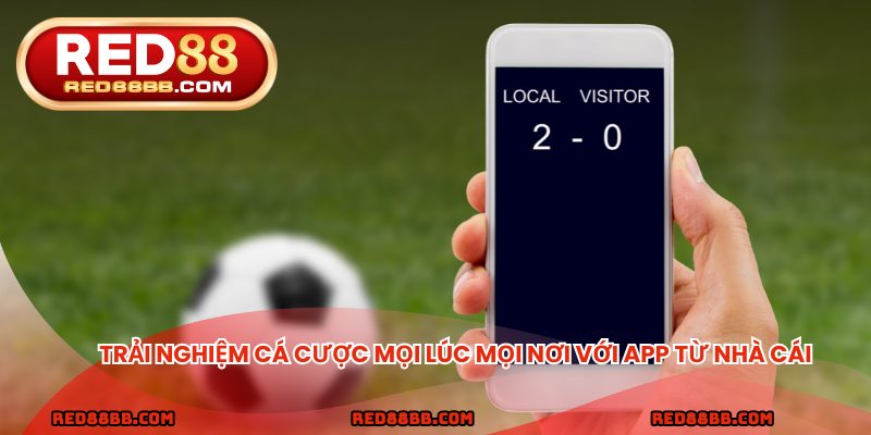 Trải nghiệm cá cược mọi lúc mọi nơi với app từ nhà cái