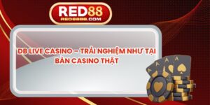 DB Live Casino – Trải Nghiệm Như Tại Bàn Casino Thật