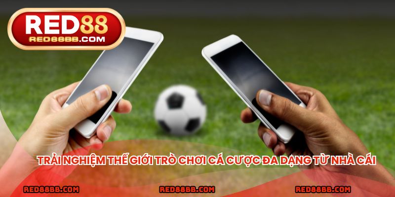 Trải nghiệm thế giới trò chơi cá cược đa dạng từ nhà cái