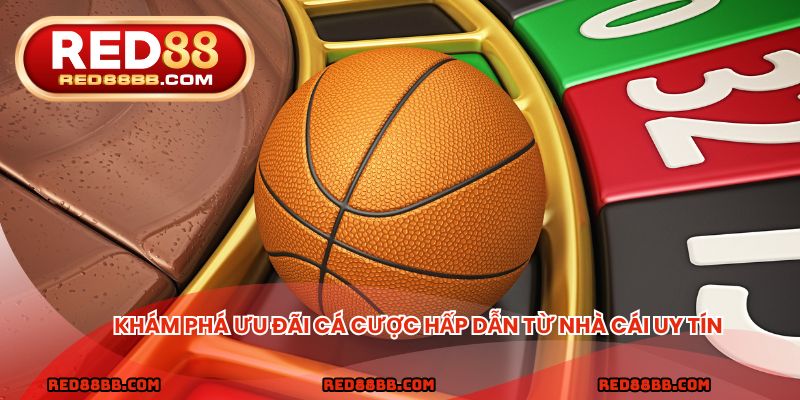 Khám phá ưu đãi cá cược hấp dẫn từ nhà cái uy tín