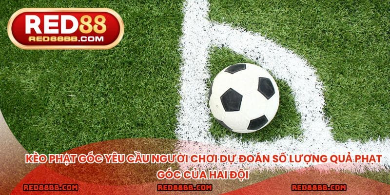 kèo phạt góc yêu cầu người chơi dự đoán số lượng quả phạt góc của hai đội