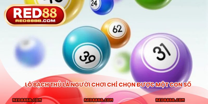 Lô bạch thủ là người chơi chỉ chọn được một con số