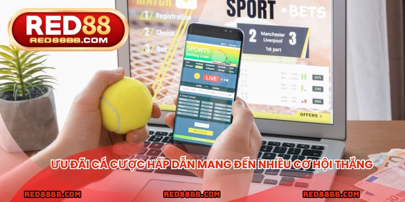 Ưu đãi cá cược hấp dẫn mang đến nhiều cơ hội thắng