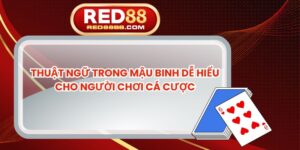 Thuật Ngữ Trong Mậu Binh Dễ Hiểu Cho Người Chơi Cá Cược